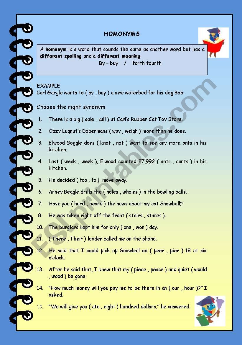 HOMONYMS worksheet