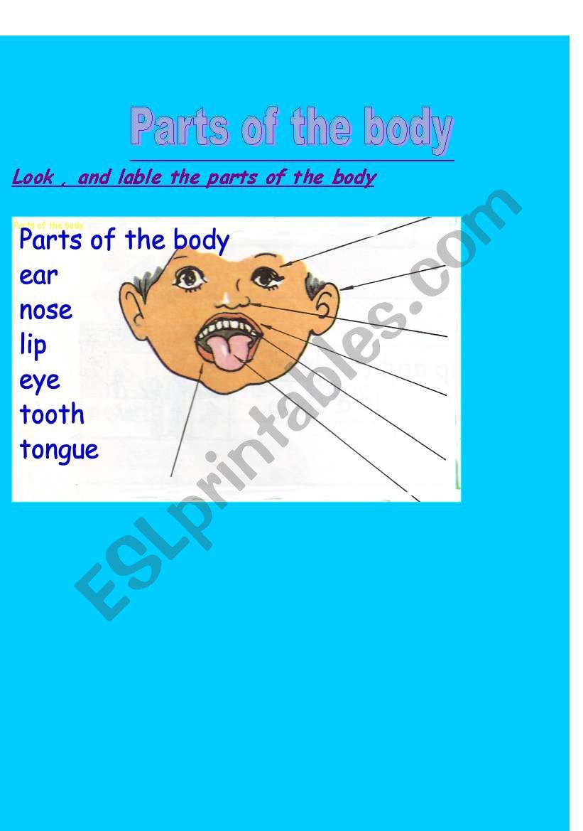 parts of the body worksheet