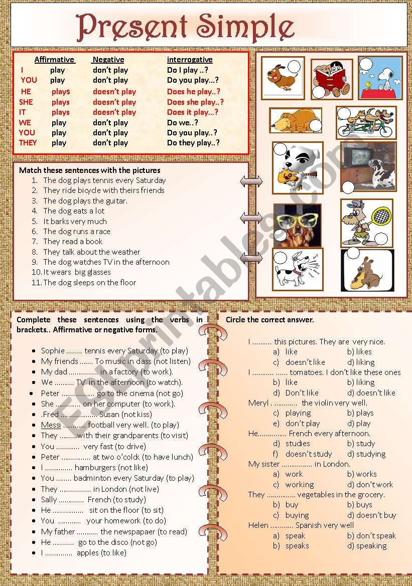 present simple worksheet