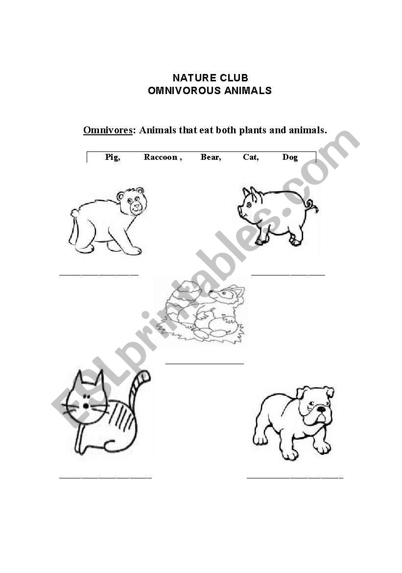 Omnivores Animals worksheet