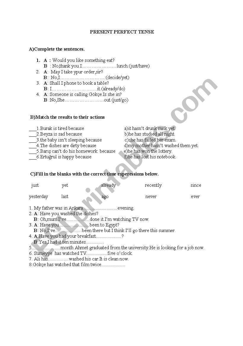 present perfect worksheet