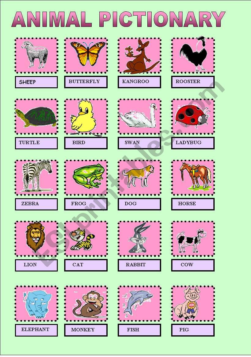 animals pictionary worksheet