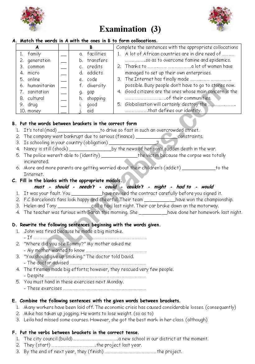 EXAMINATION (3) worksheet