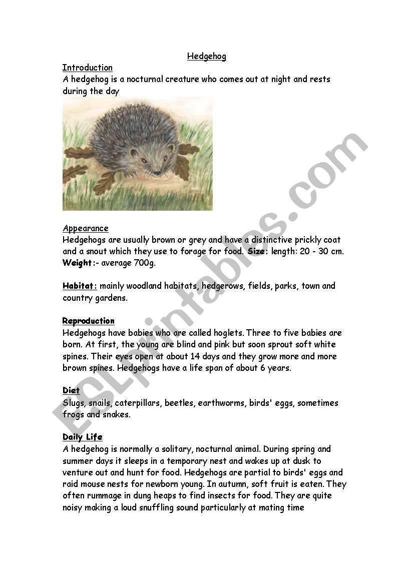 hedgehogs worksheet