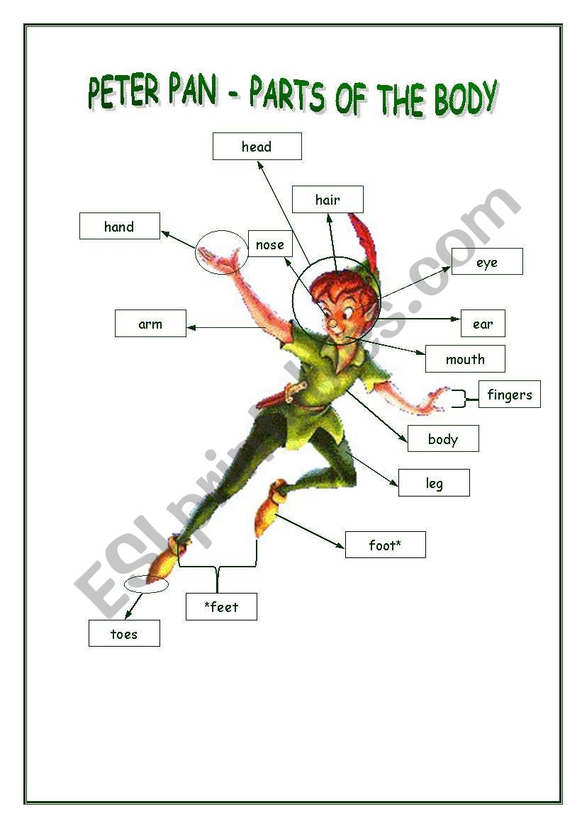 peter pan - parts of the body poster