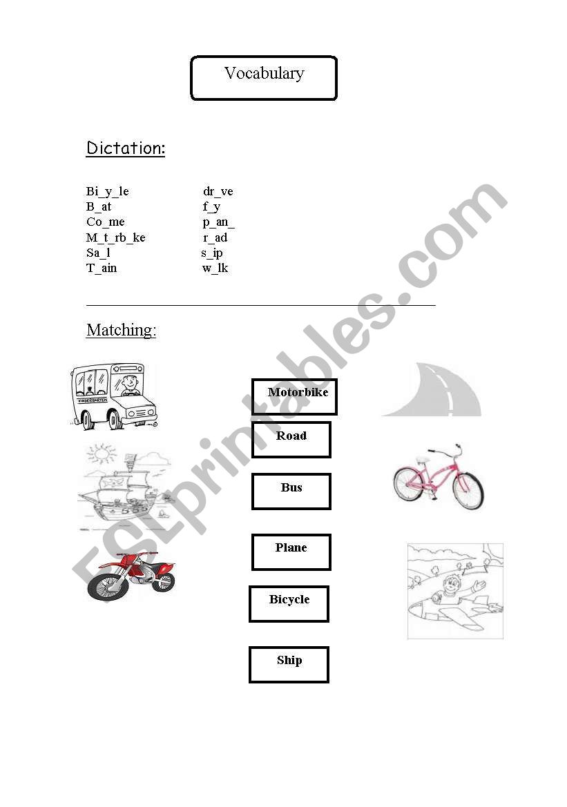the transport worksheet