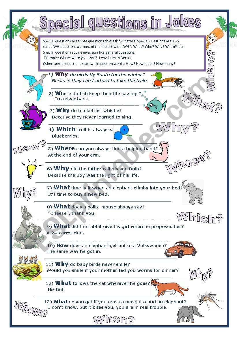 Special questions worksheet