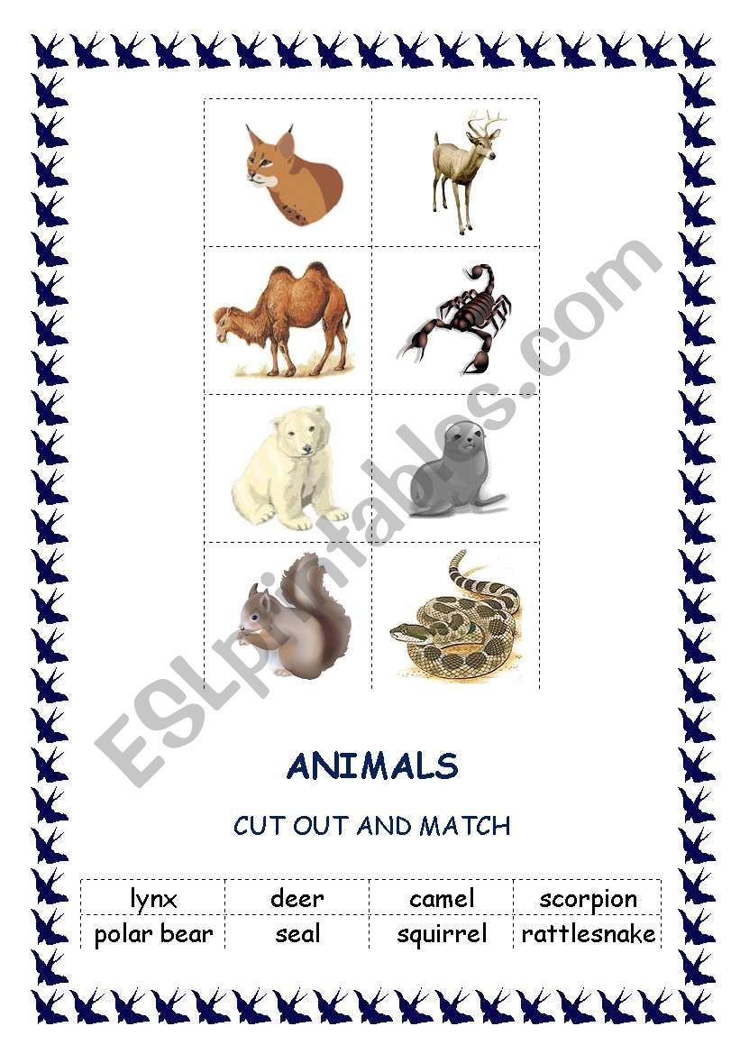 Animals worksheet