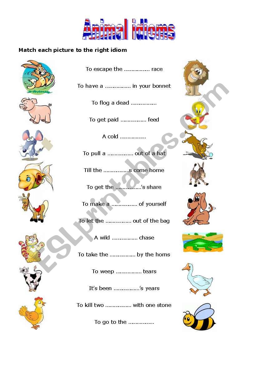 Animal idoms 2 worksheet