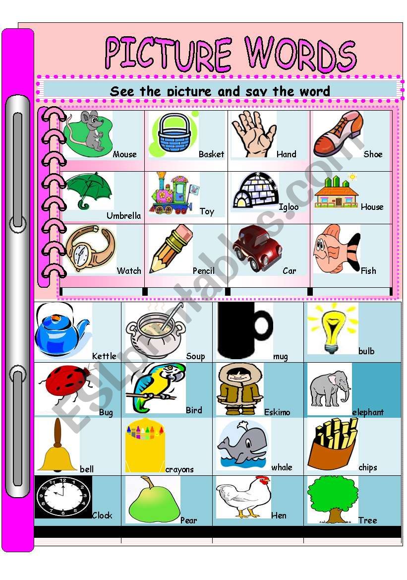 PICTURE WORDS-Vocabulary  worksheet