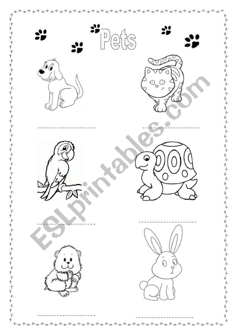 Pets worksheet