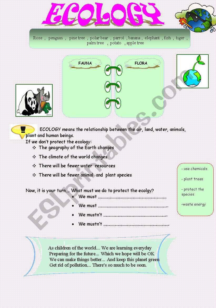 ECOLOGY worksheet