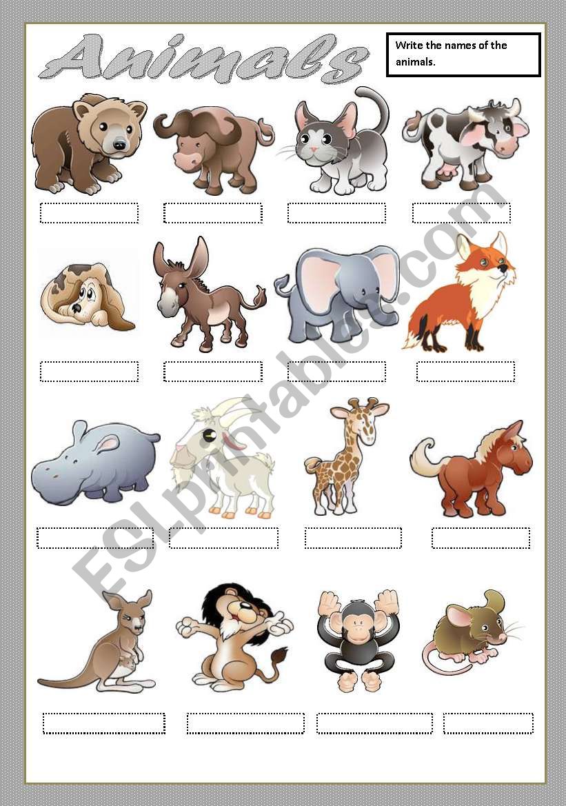 ANIMALS worksheet