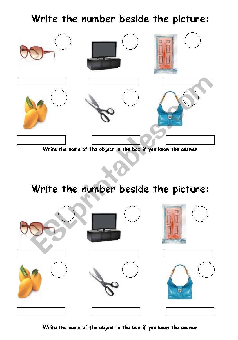 Describing everyday objects worksheet