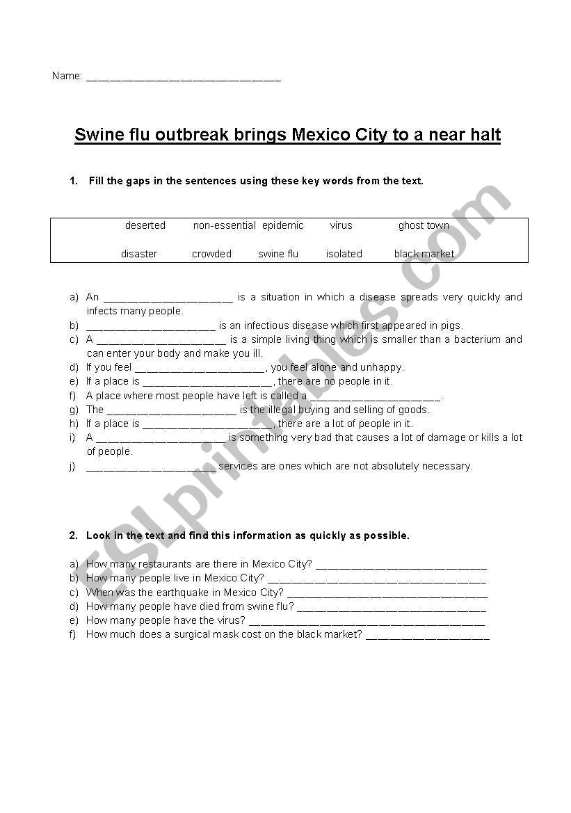 The swine flu worksheet