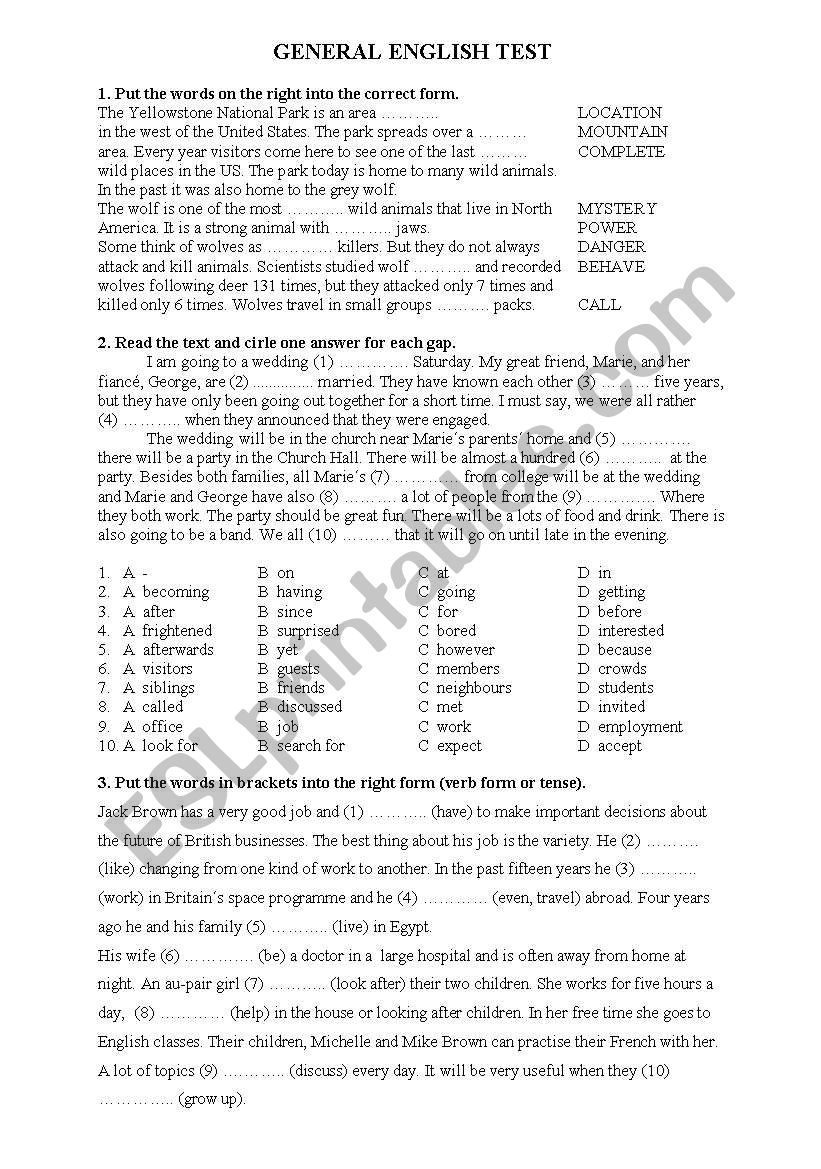 General English Grammar Test worksheet