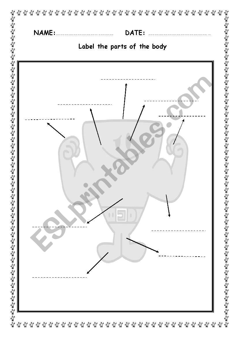 LABEL THE PARTS OF THE BODY. worksheet