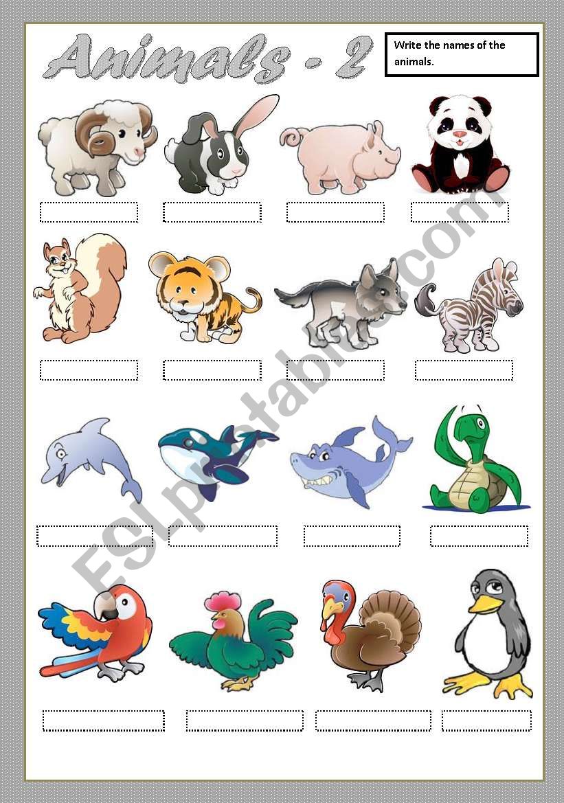 ANIMALS -2 worksheet