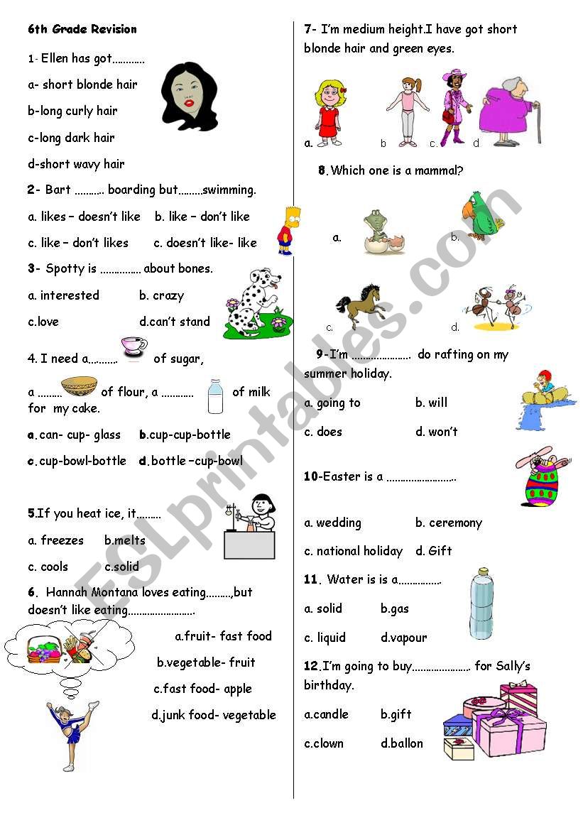 6th grade revision-2 worksheet