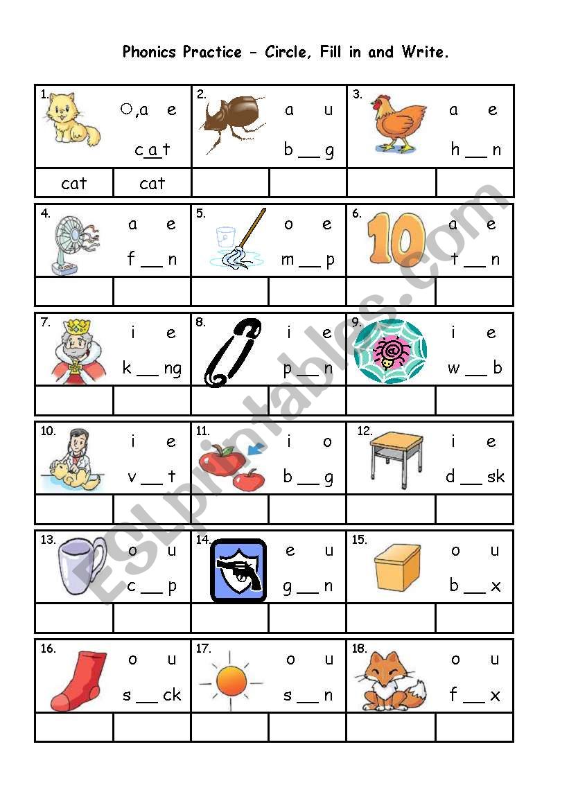 Cvc words (short vowel practice)