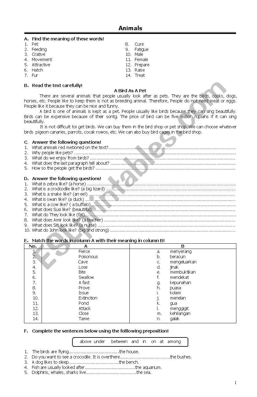 animals worksheet