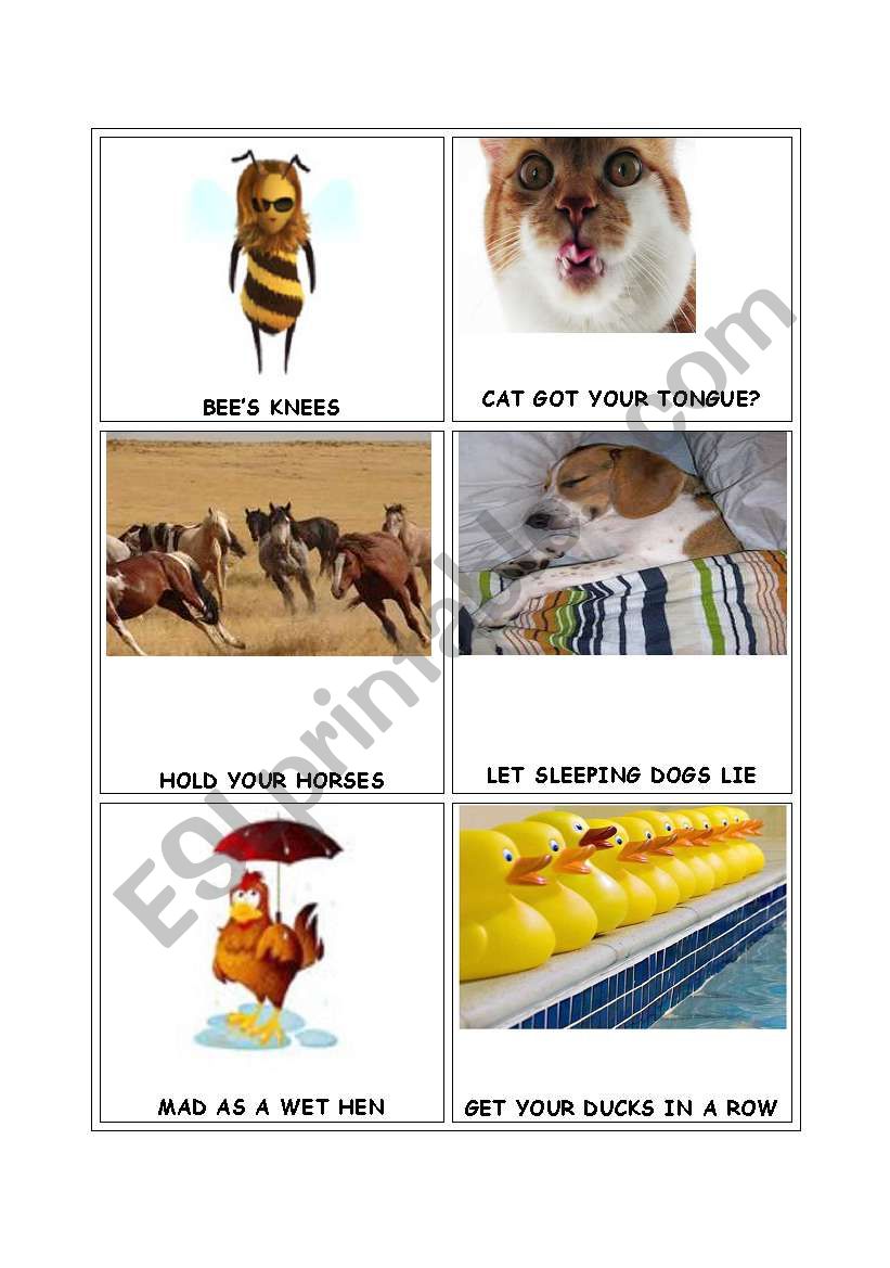 ANIMAL IDIOMS worksheet