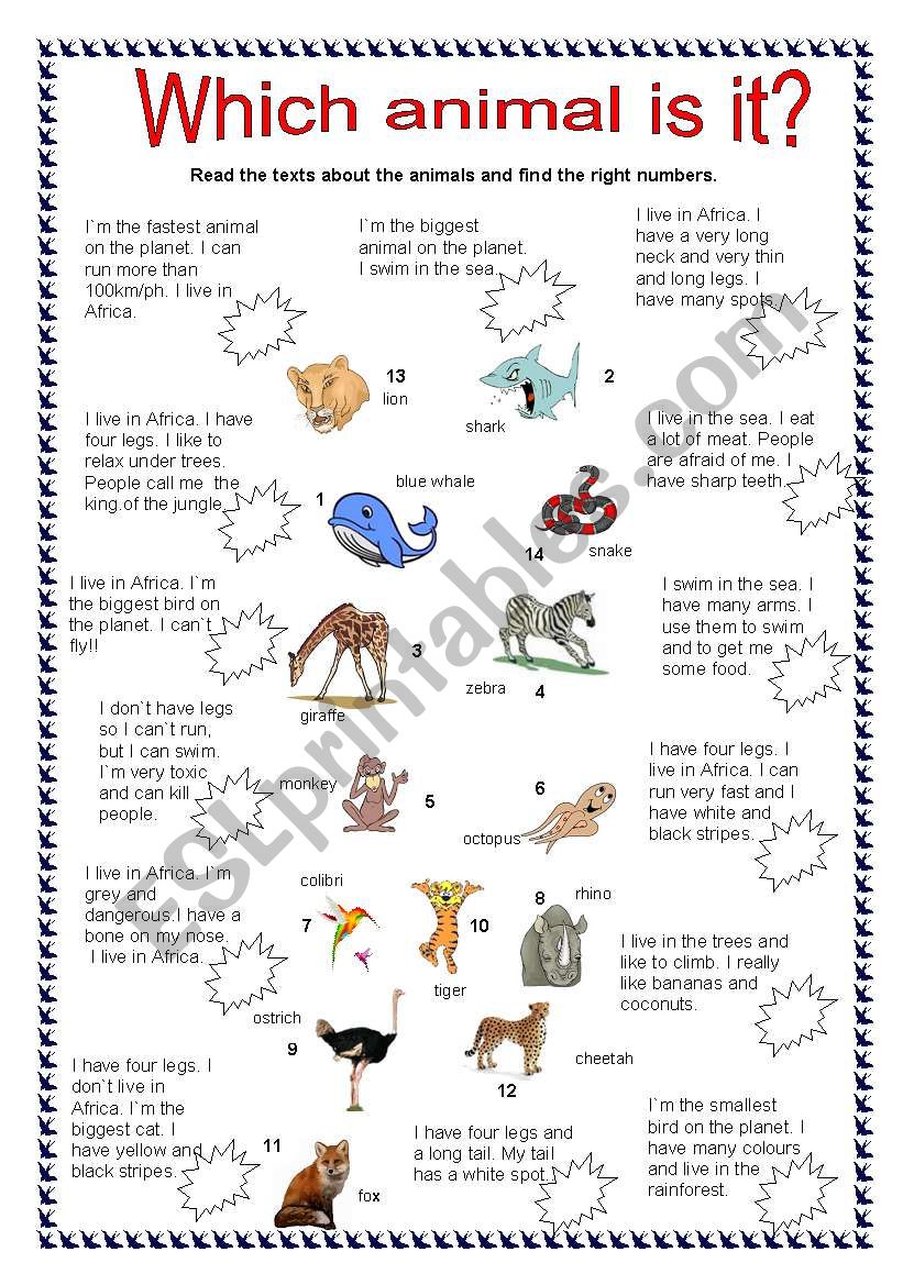Which animal is it? worksheet