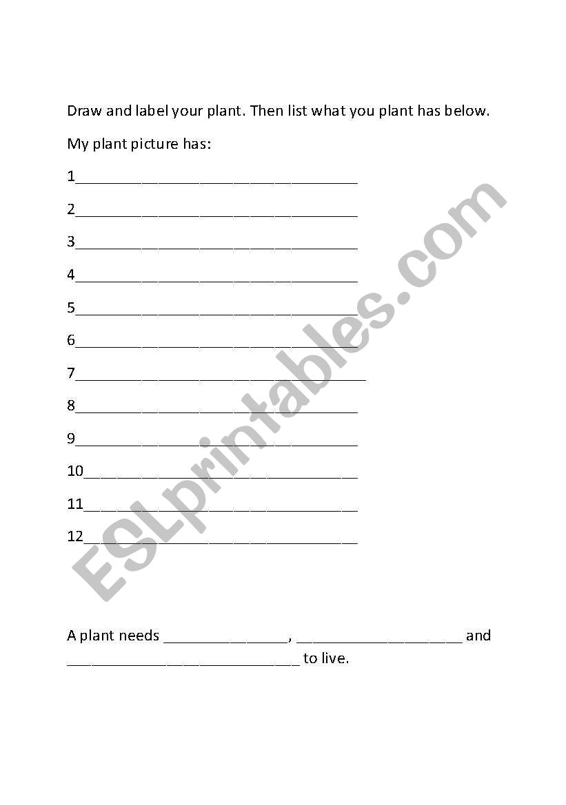 Draw , label and write about a plant and seed