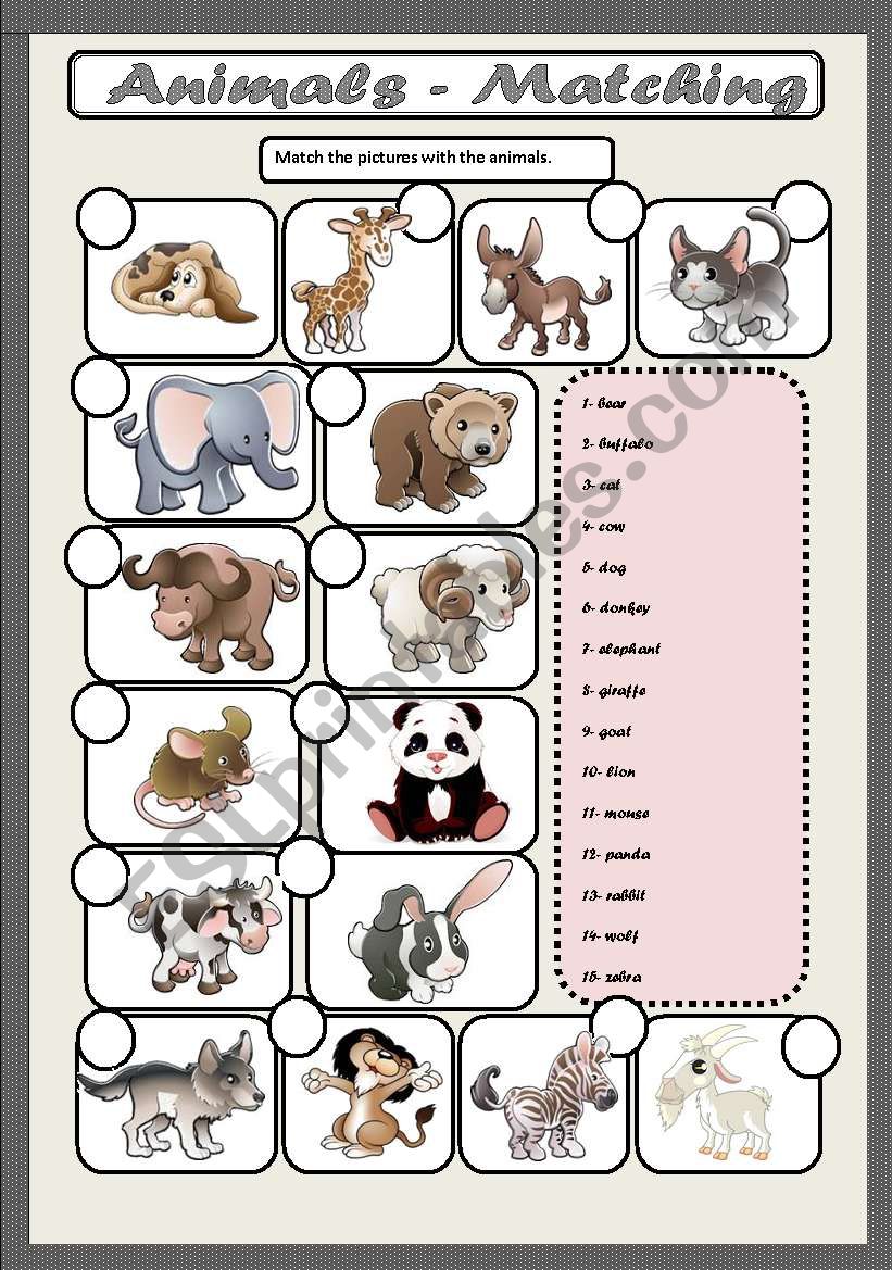 ANIMALS -MATCHING worksheet