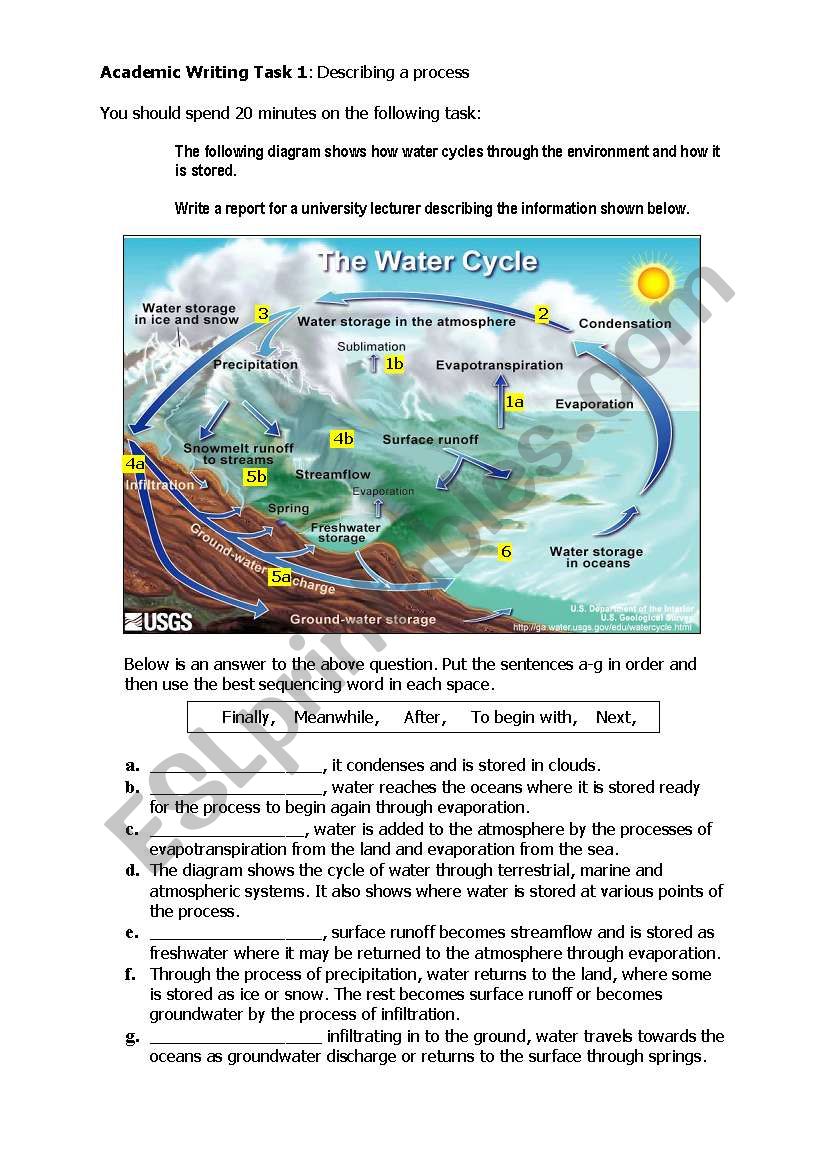 Water Cycle worksheet