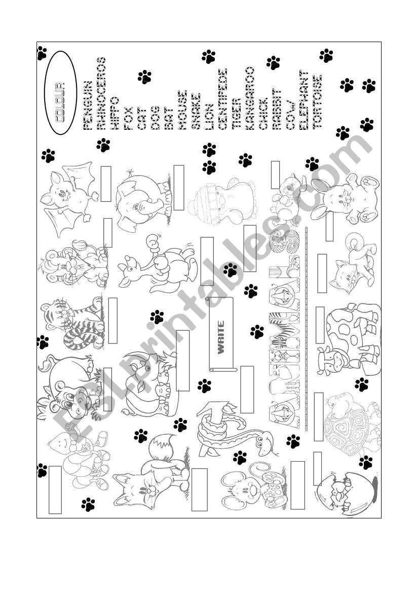 animals worksheet