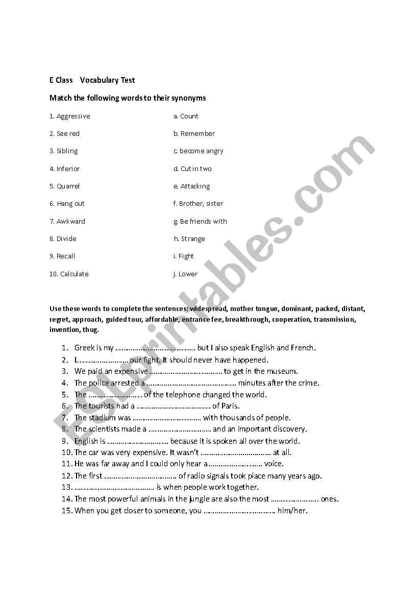 E Class Vocabulary Worksheet worksheet