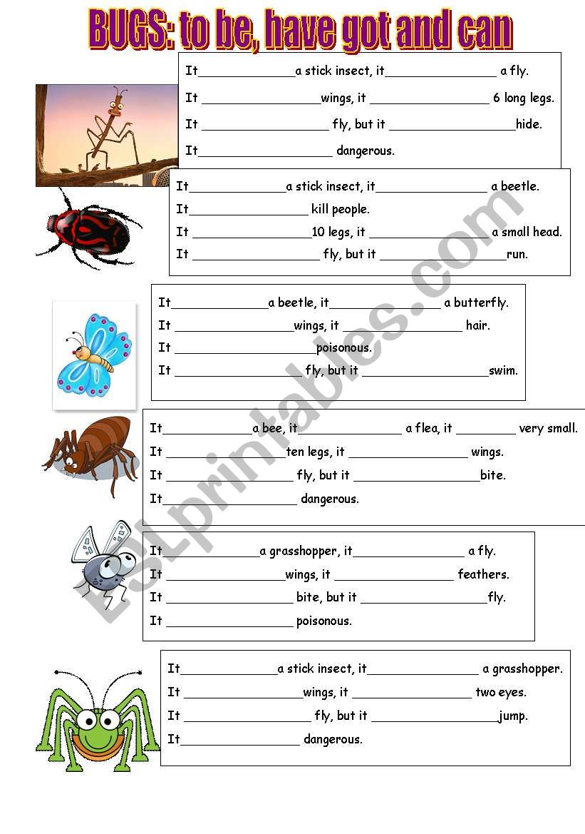 BUGS: TO BE, HAVE GOT AND CAN worksheet
