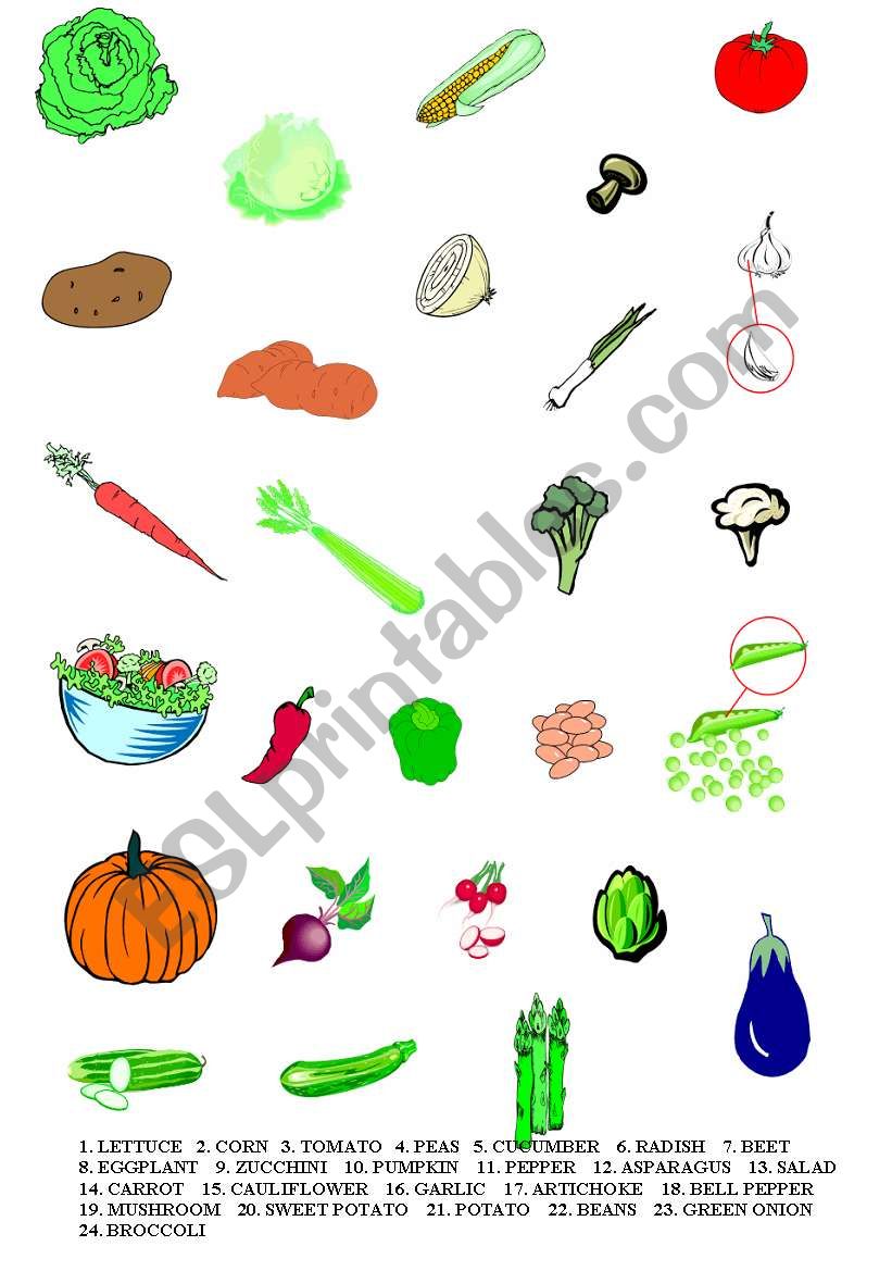 vegetables worksheet