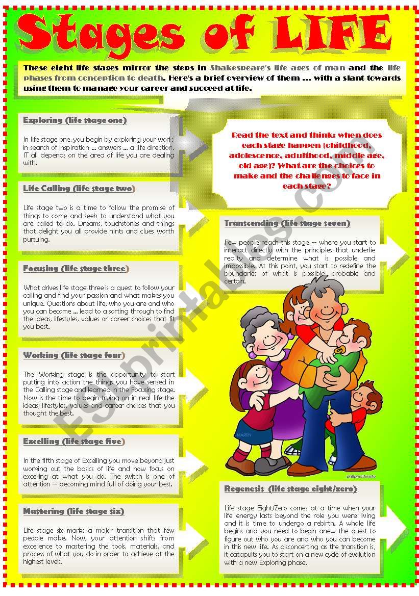 STAGES OF LIFE (Part 2) worksheet