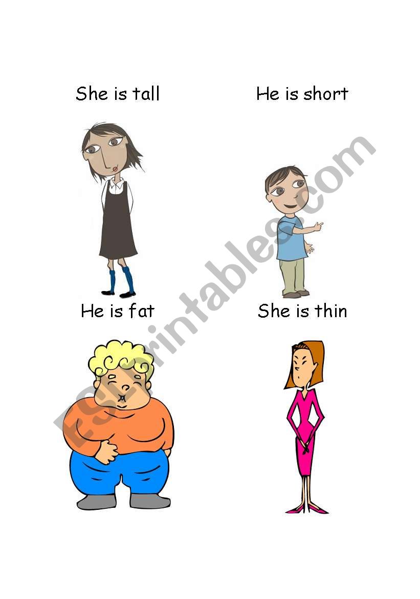 Tall, short, fat, thin worksheet