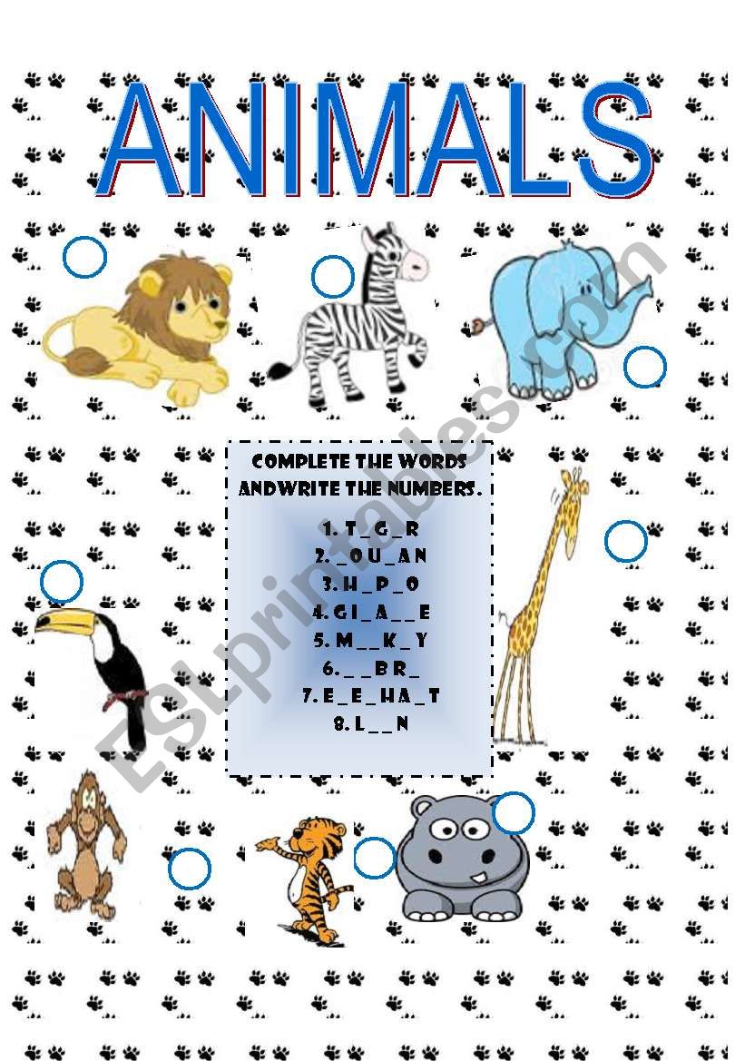 animals worksheet