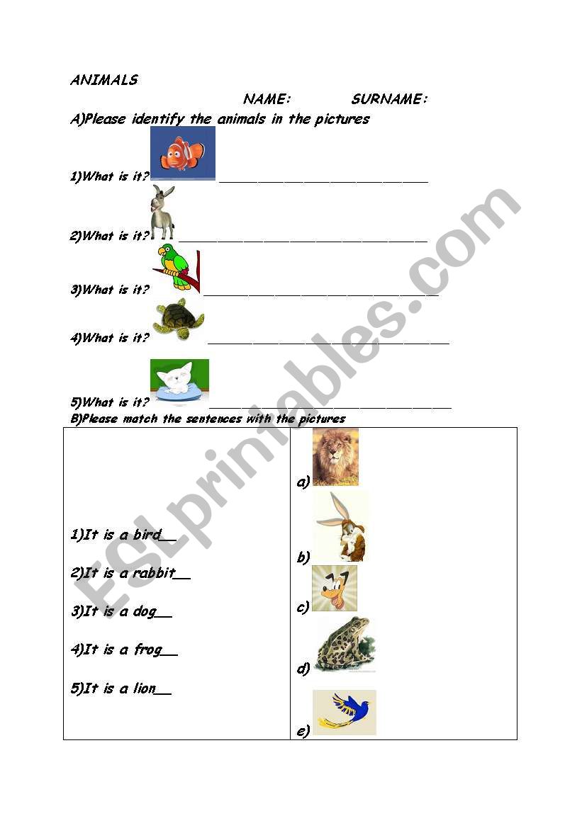 Animals worksheet