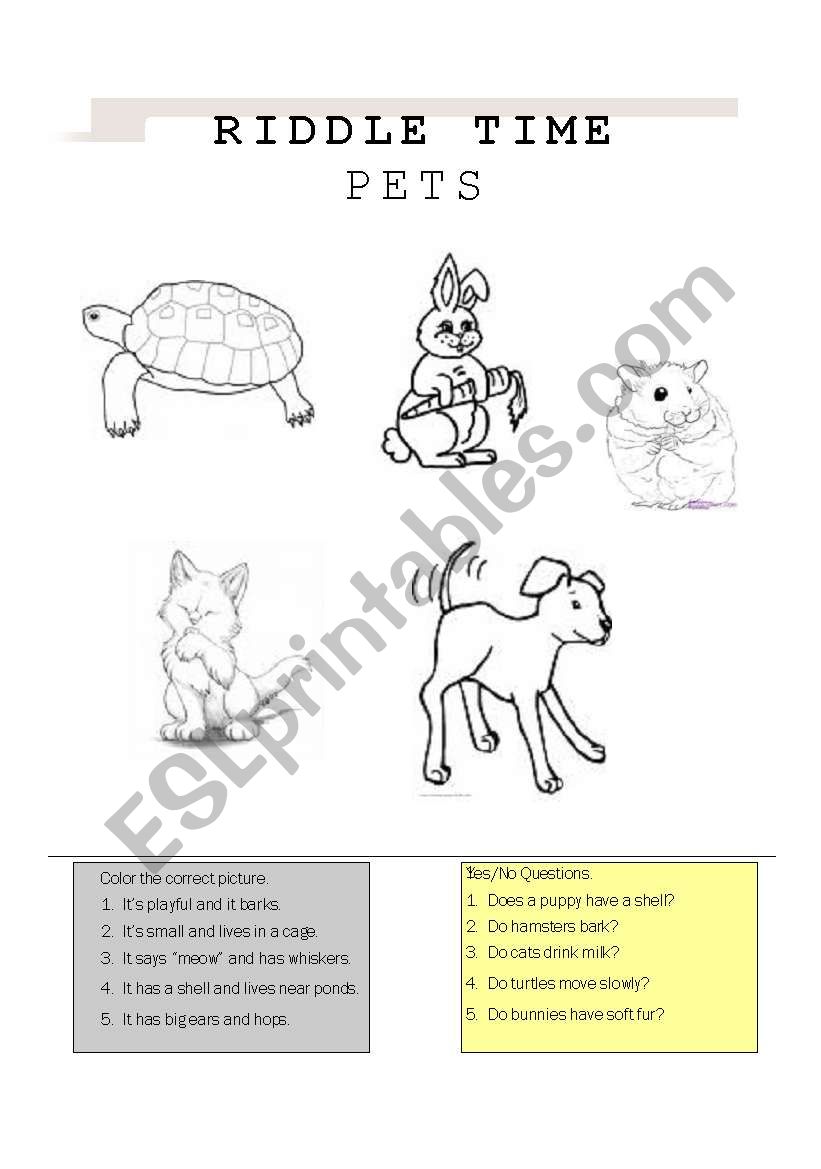 Riddle Time: Pets worksheet