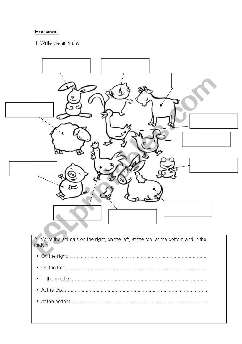 animals positions worksheet