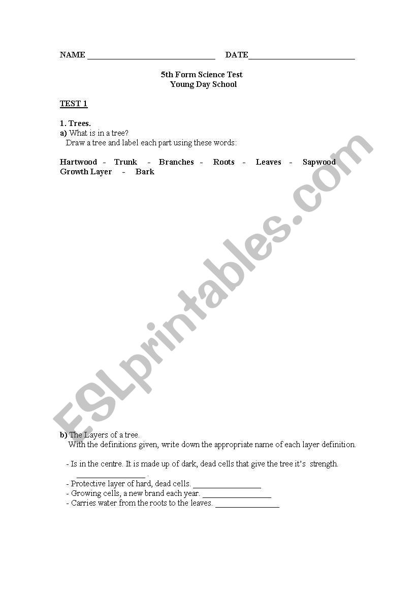 Science Test worksheet