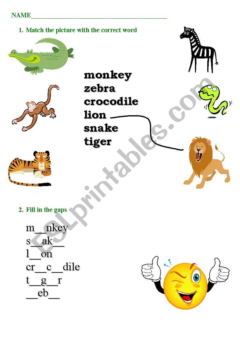 Animals worksheet