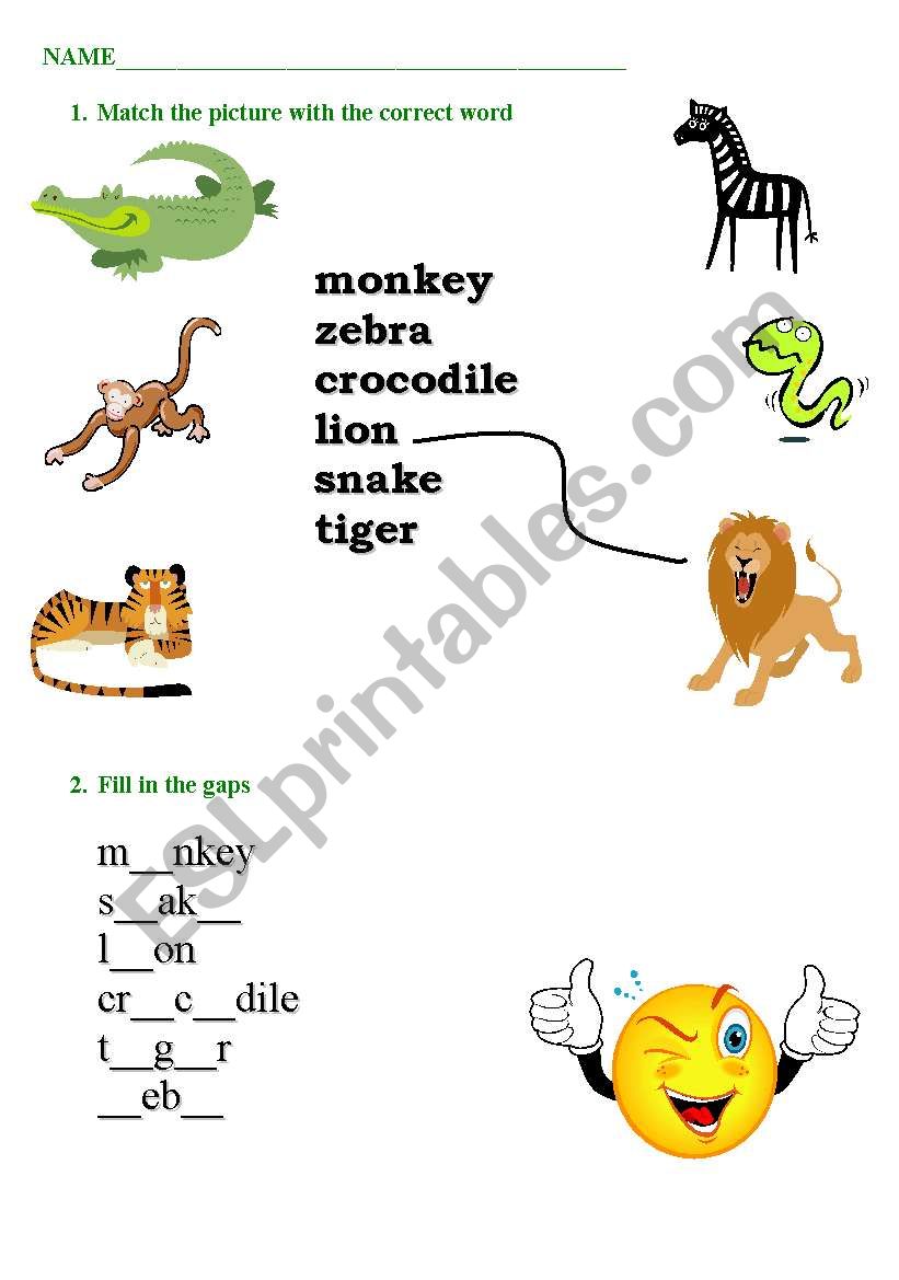 Animals worksheet