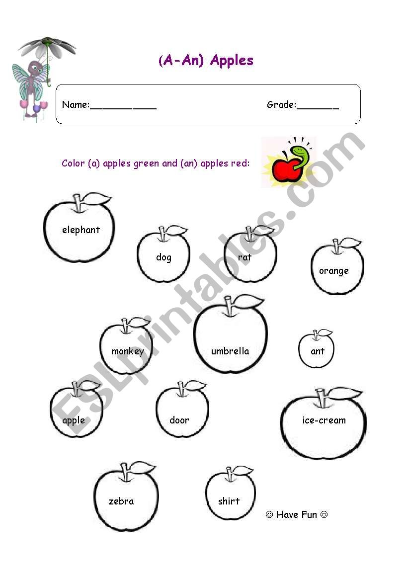 a -an worksheet