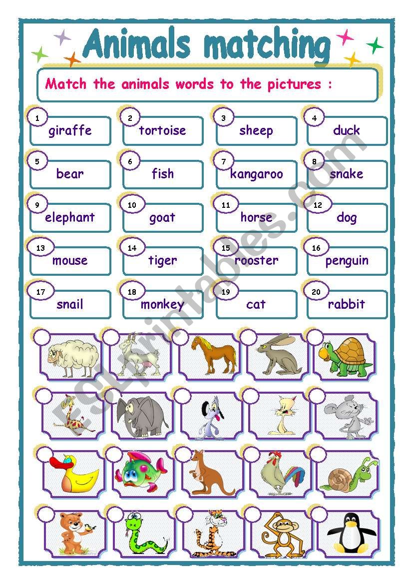 Animals matching worksheet