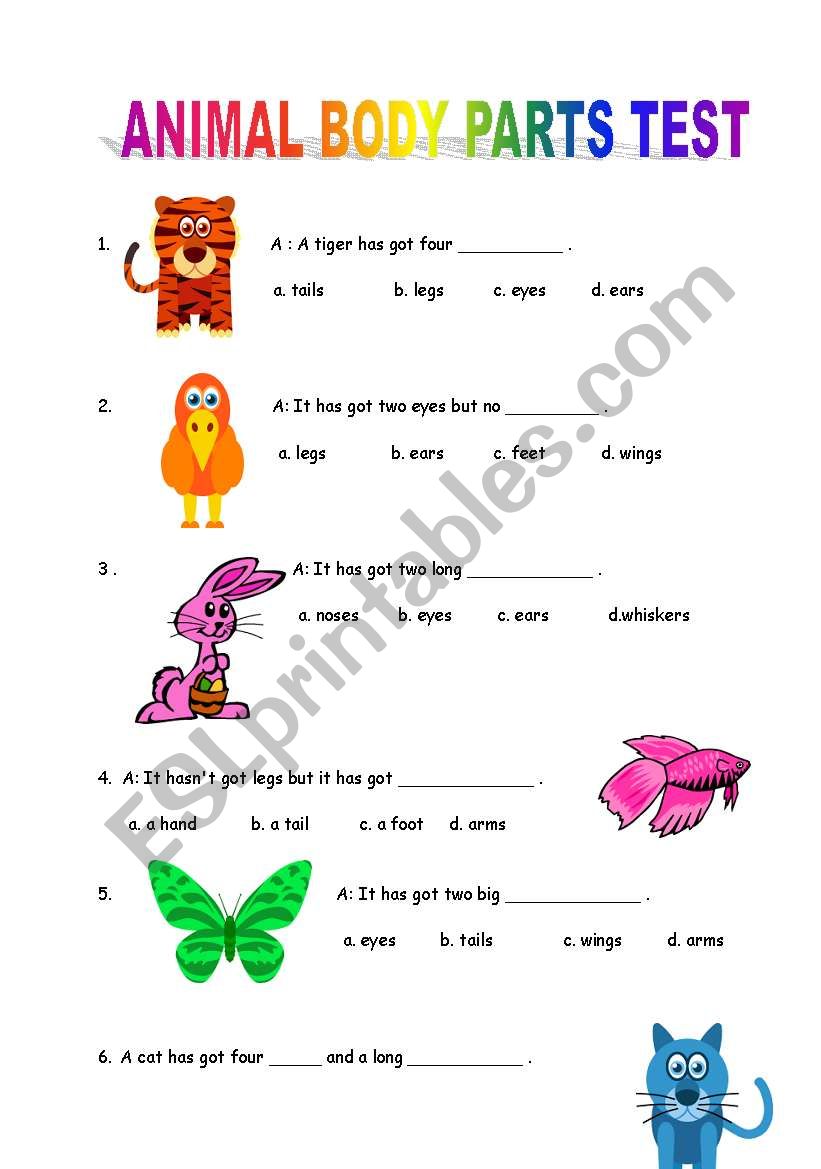 Animal Body Parts Test worksheet