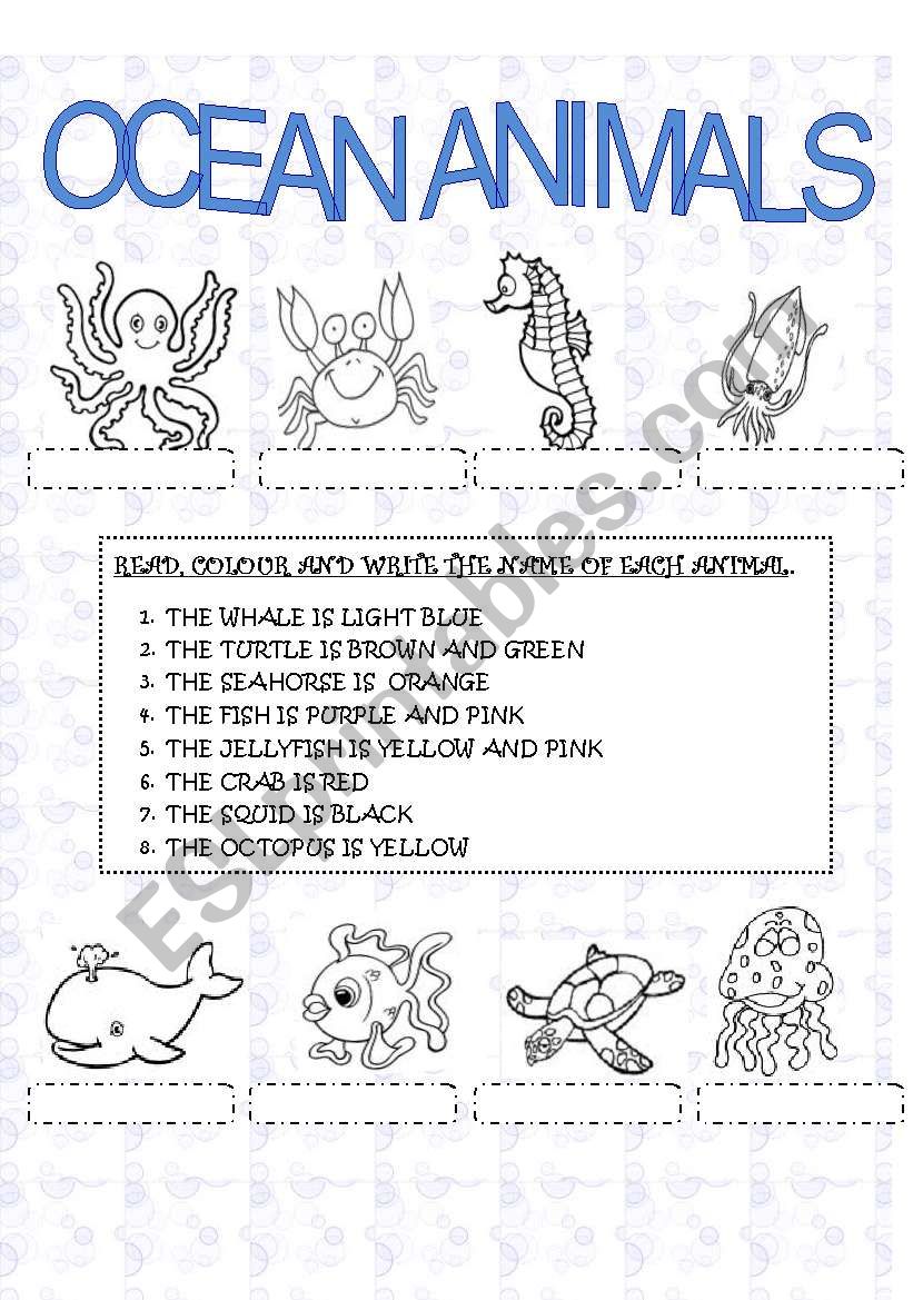 ocean animals worksheet