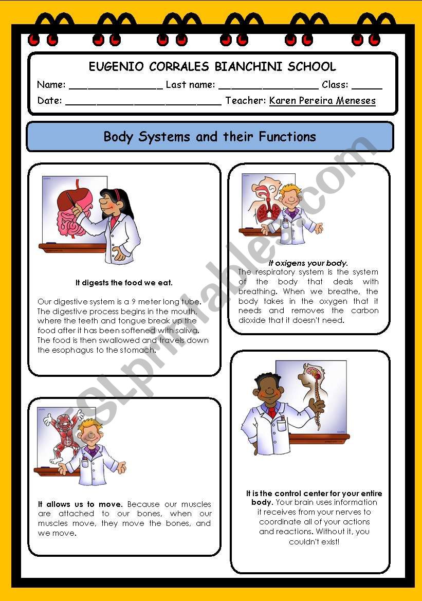 Body Systems worksheet