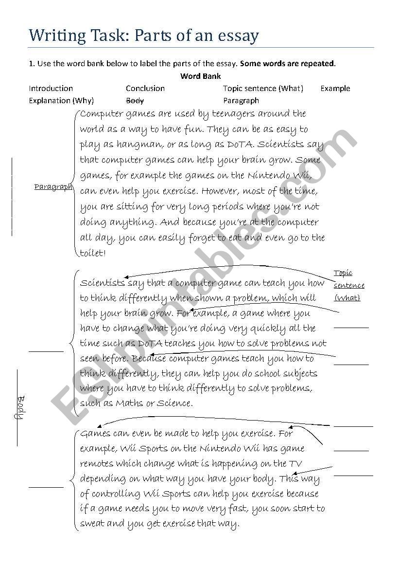 parts of an essay worksheet