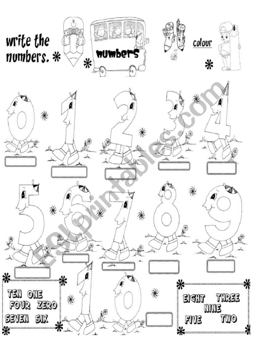 numbers worksheet